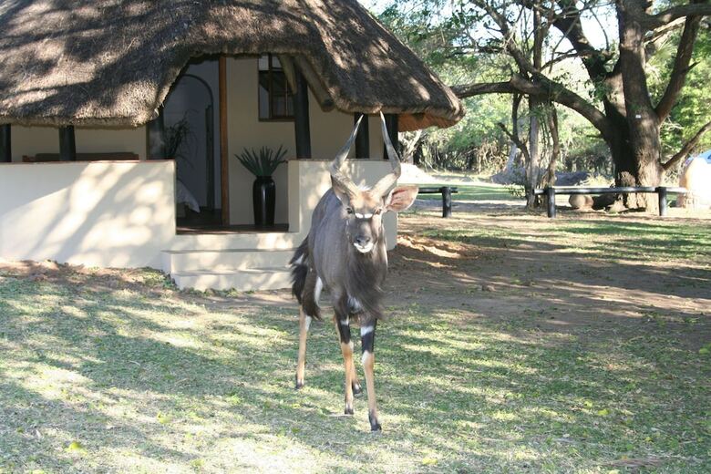 Posada Bonamanzi Game Reserve