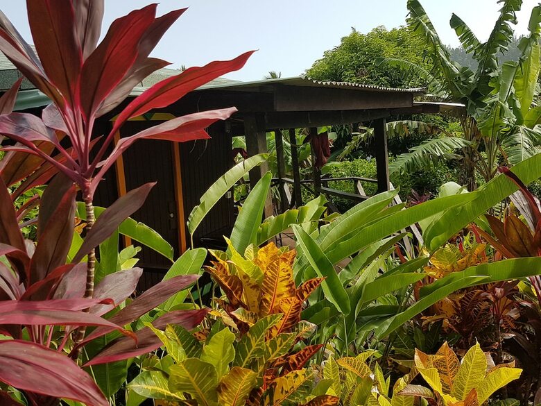 Hotel Hibiscus Valley Inn