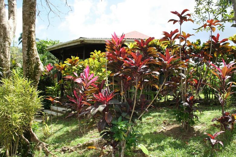 Hotel Hibiscus Valley Inn