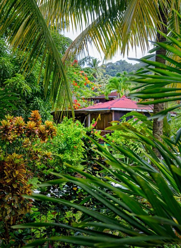 Hotel Hibiscus Valley Inn