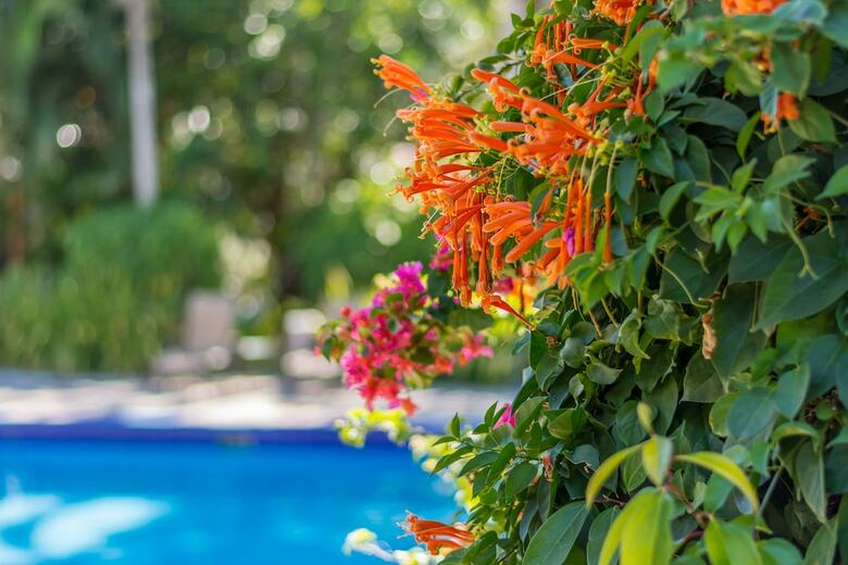 Hotel Colinas Del Sol