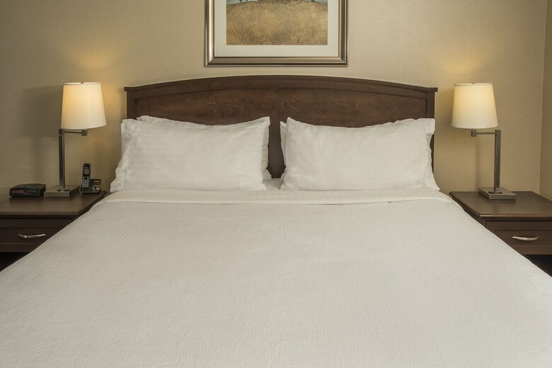Hotel Holiday Inn Conference Center Edmonton South