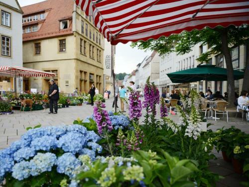 Apartamentos Boardinghouse Bielefeld