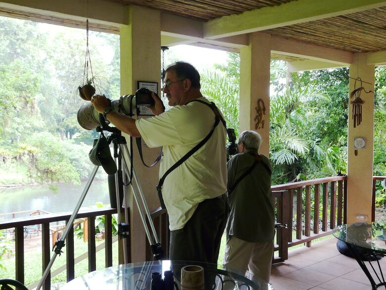 Bed & Breakfast Heliconia Island