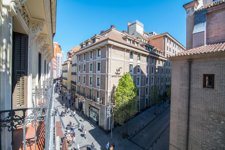 Hotel Petit Palace Preciados