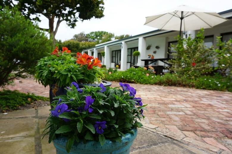 Hotel Sixteen Guest House On Main