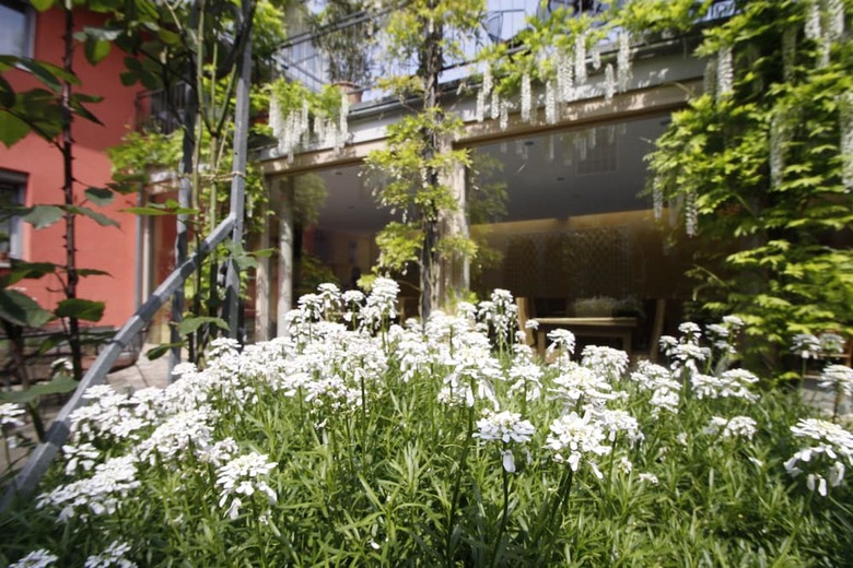 Hotel Arndt