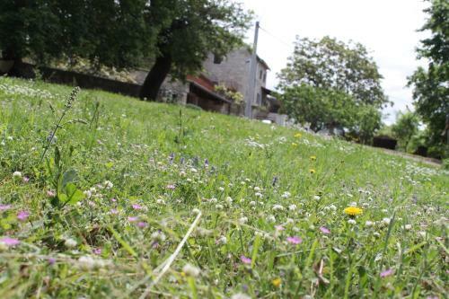 Apartments Mestri