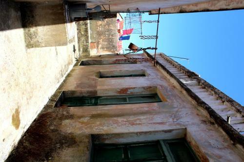House Zrno