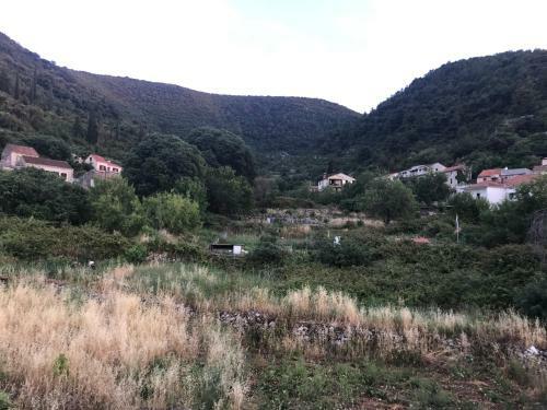 Divna Apartments And Rooms
