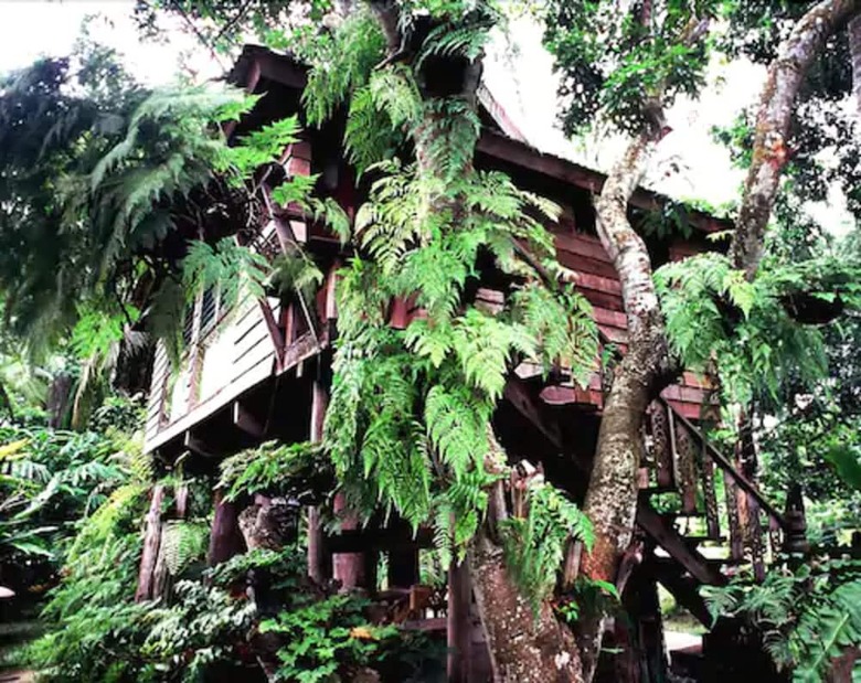 Hotel Fern Paradise