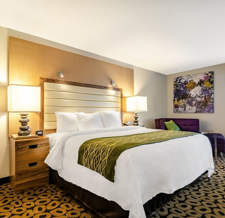 Hotel Comfort Inn Raleigh Midtown