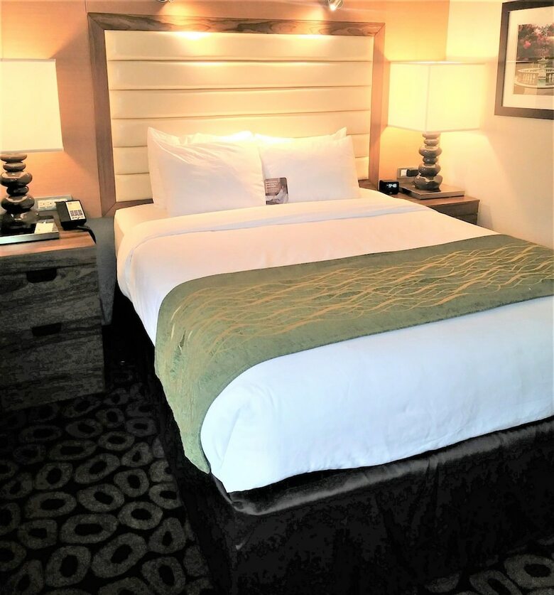 Hotel Comfort Inn Raleigh Midtown