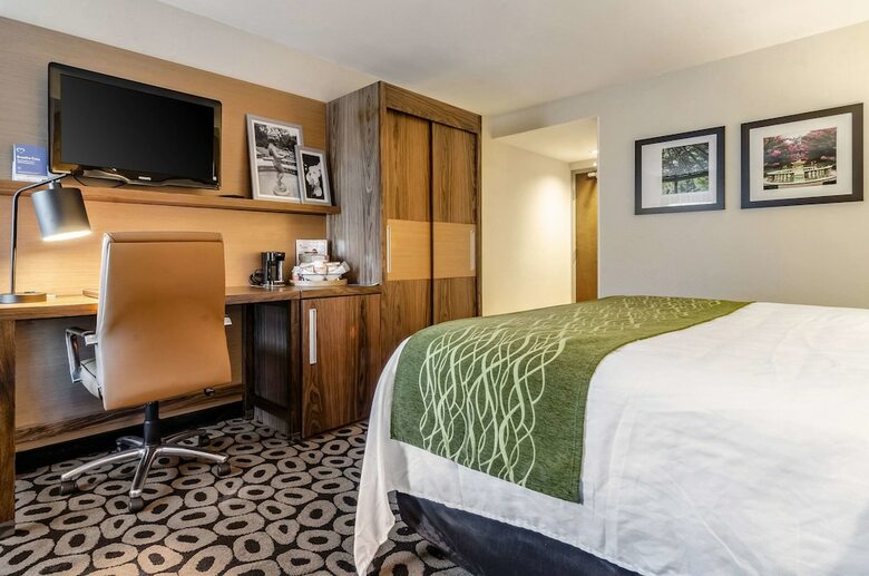 Hotel Comfort Inn Raleigh Midtown