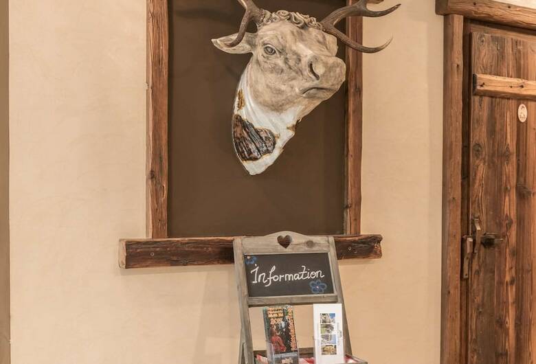 Arthotel Ana Enzian