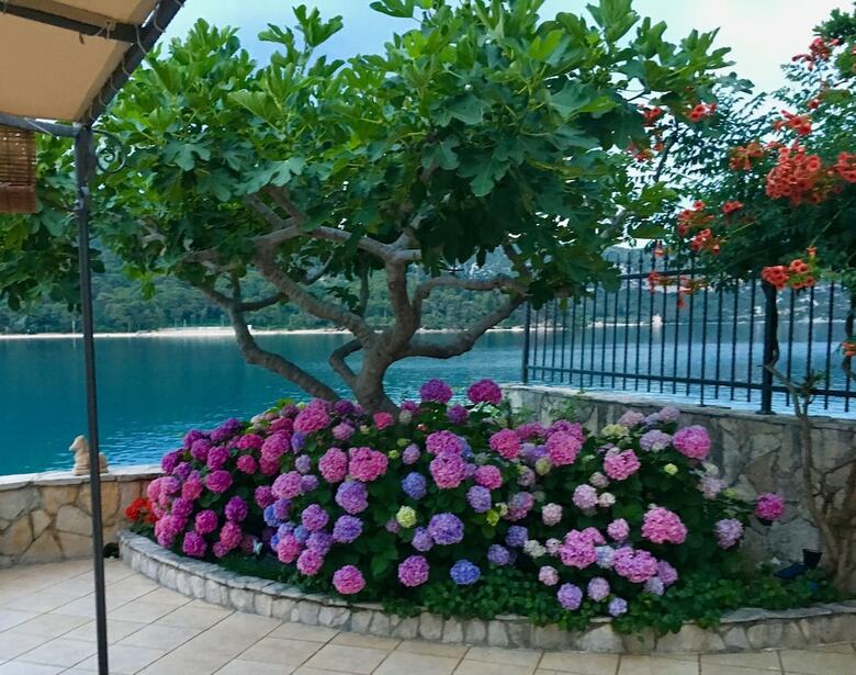 Hotel Villa Almadria Luxury Bed & Breakfast Adults Only
