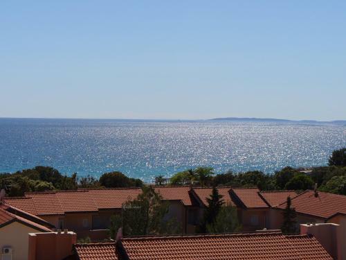 Bed & Breakfast Pansion Comfort Sidro