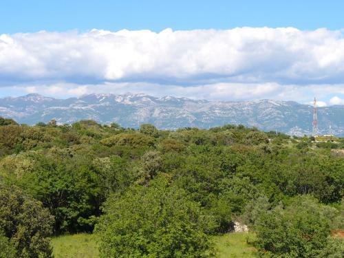 Bed & Breakfast Pansion Comfort Sidro