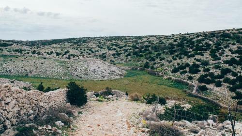 Mala Villa