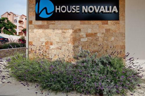 Hostal House Novalia