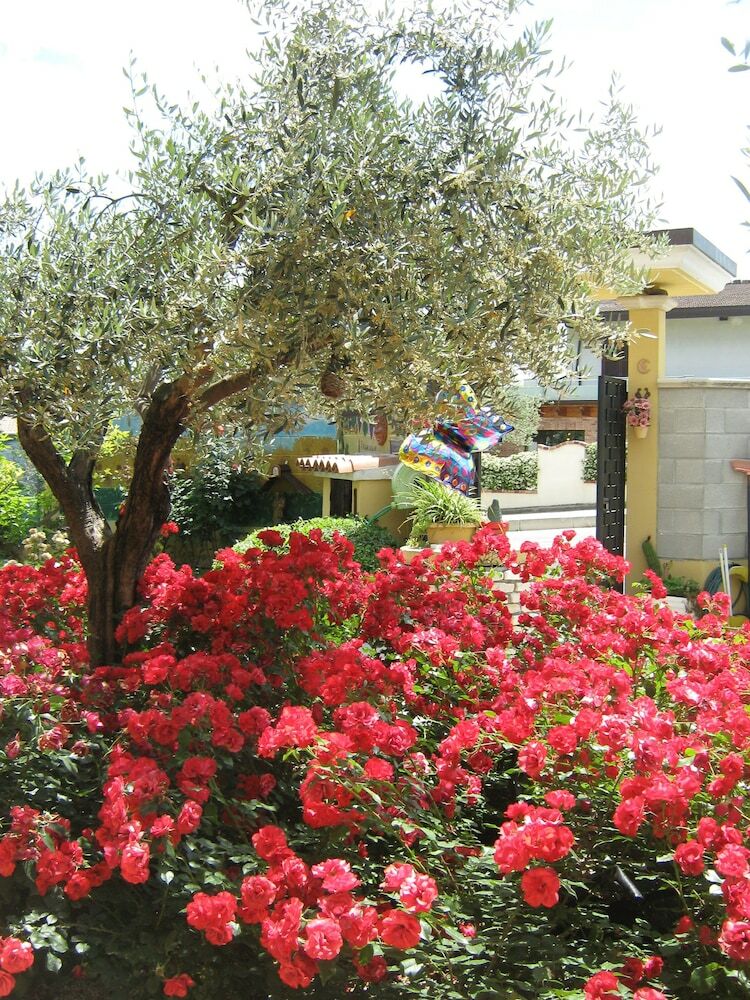 B&B Mariposa