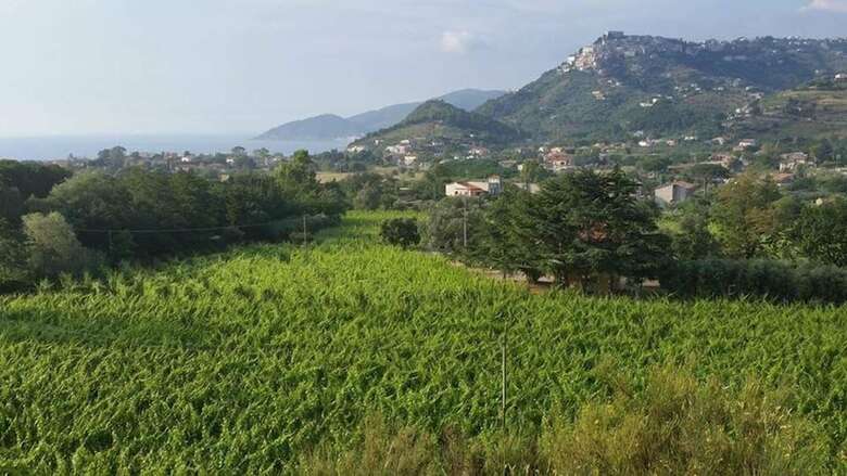 Apartamentos Poggio Del Cenito
