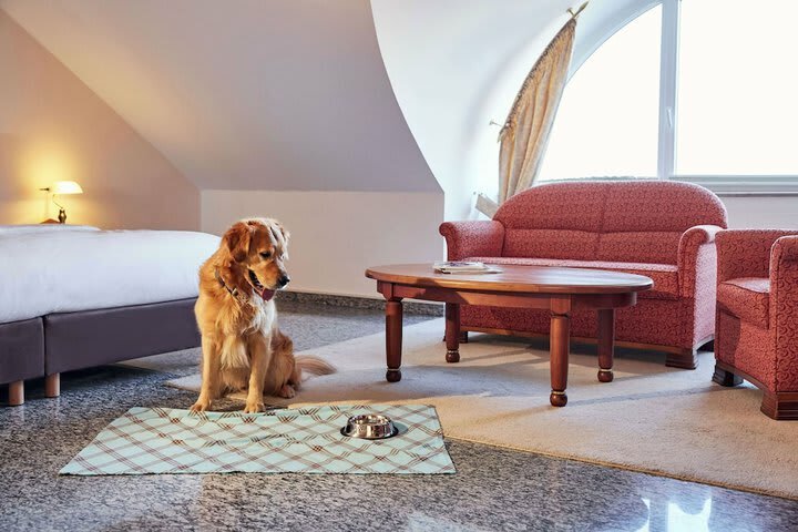 Lindner Hotel & Spa Binshof