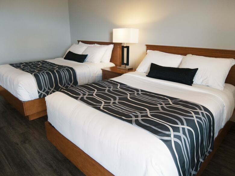 Hotel H�tel Le Voyageur