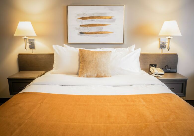 Hotel H�tel Le Voyageur