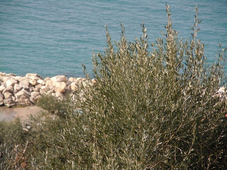 Apartamento Villa Rosmary