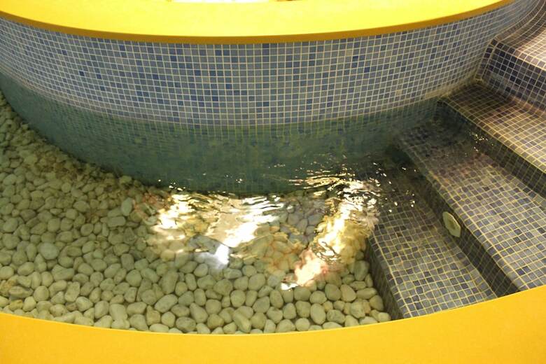 Hotel Terme Alexander