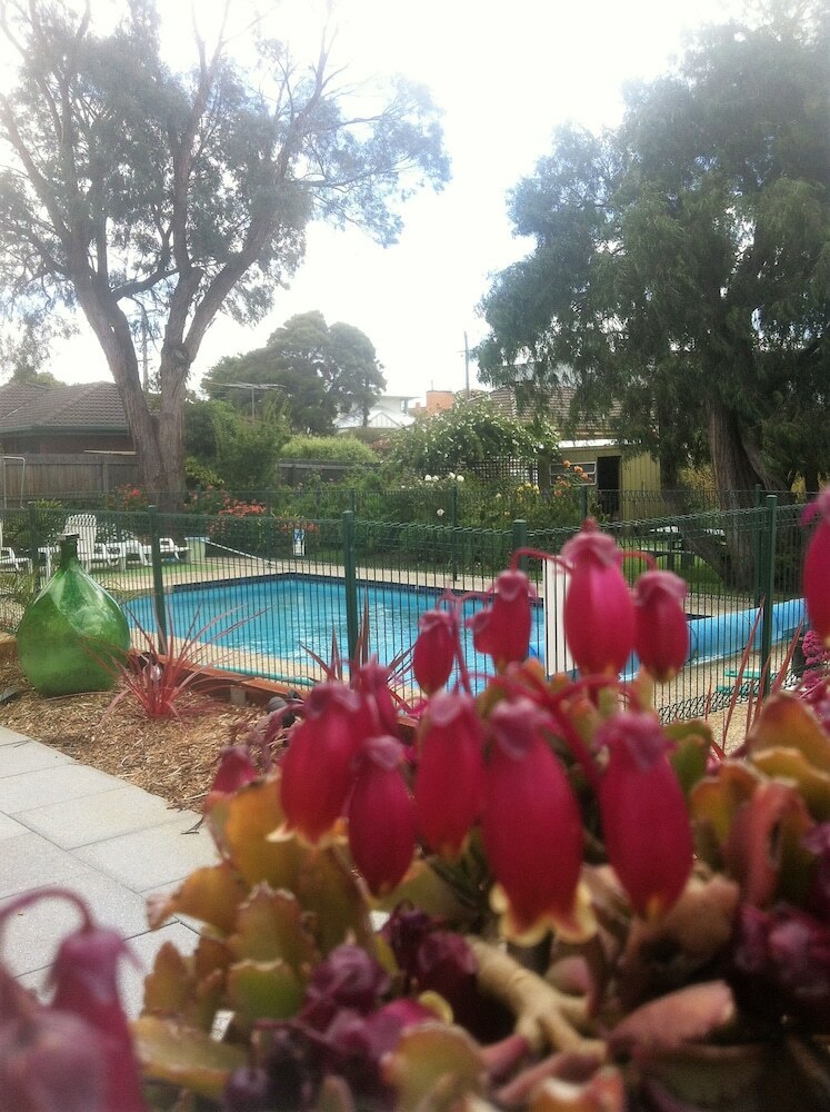 Parkwood Motel And Apartments