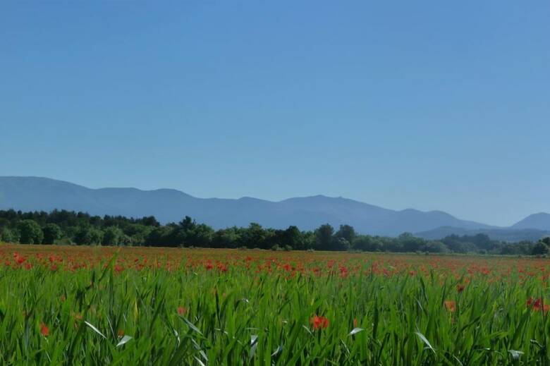 Lodges En Provence - Caravan Park