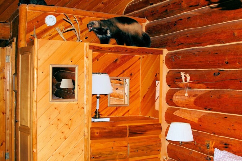 Posada Bear Paw Adventure