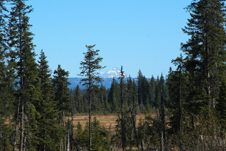 Posada Bear Paw Adventure