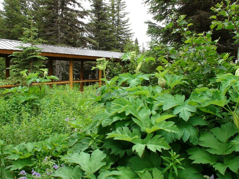 Posada Bear Paw Adventure