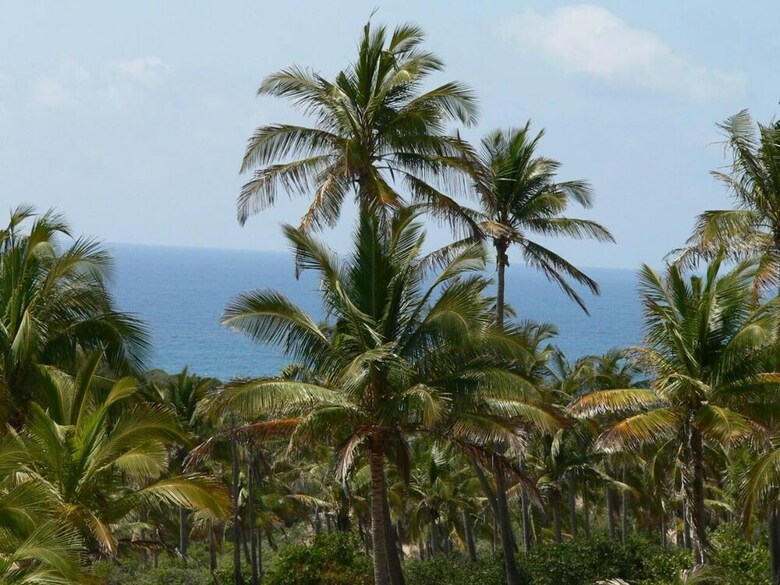 Posada Blue Moon Beach Holiday Resort