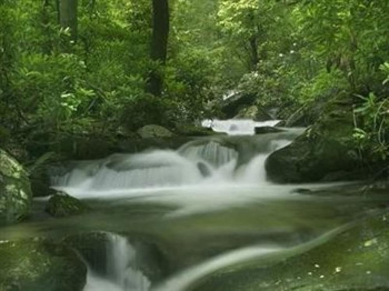 Lake Rabun Hotel & Restaurant