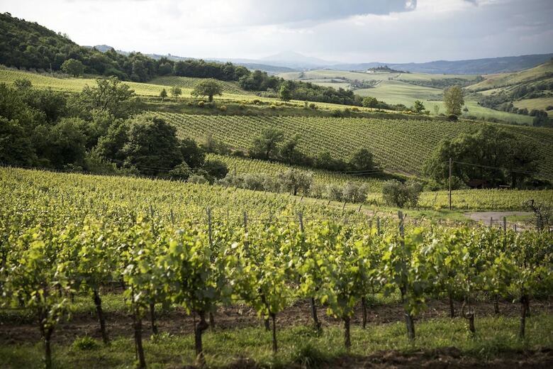 Agroturismo Altarocca Wine Resort