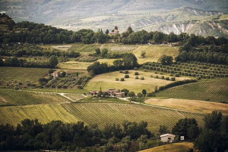 Agroturismo Altarocca Wine Resort