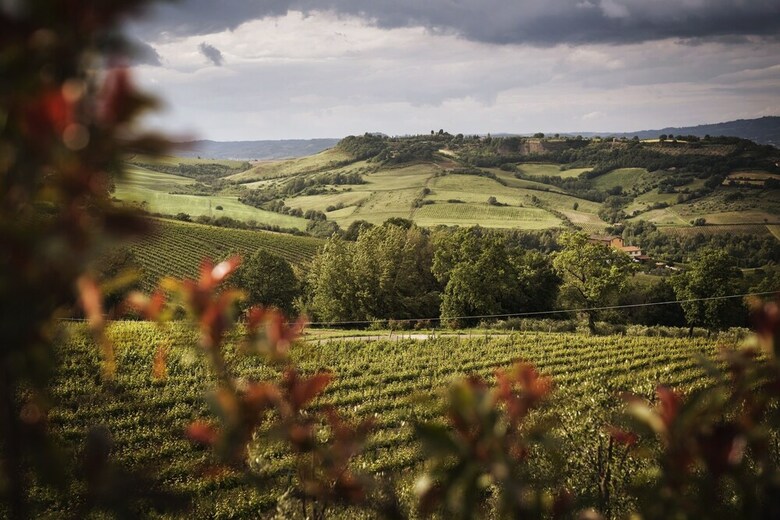 Agroturismo Altarocca Wine Resort