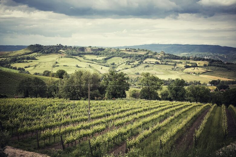 Agroturismo Altarocca Wine Resort