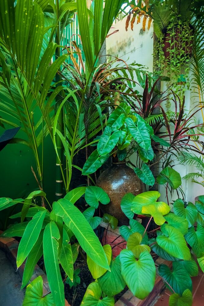 Asanak D'angkor Boutique Hotel