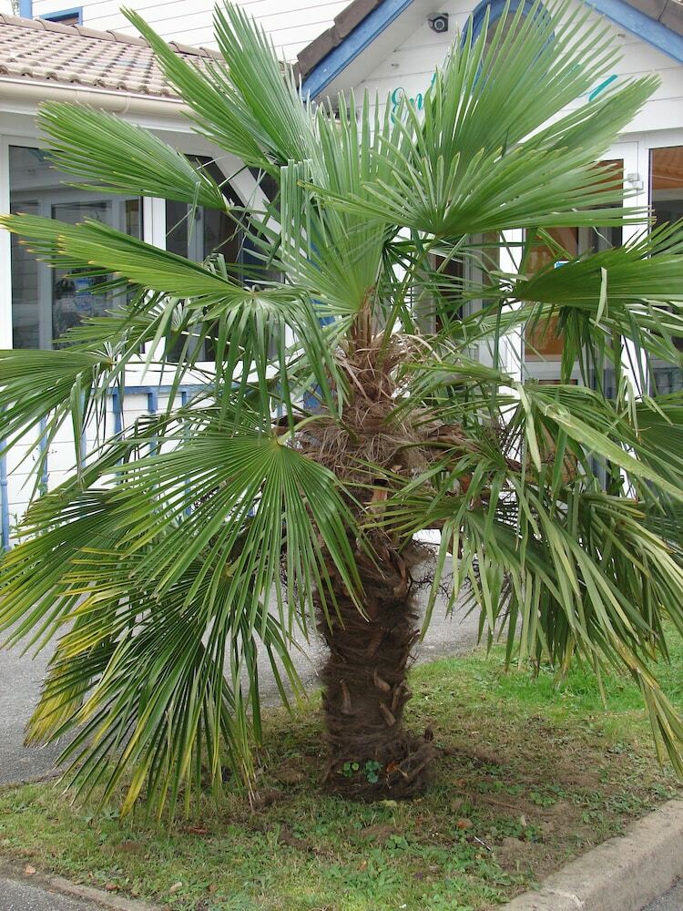 Budget Hotel Melun ? Dammarie Les Lys