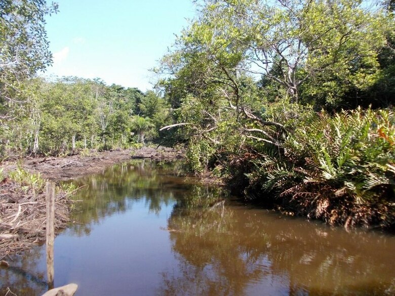 Posada Les G�tes De Kribi