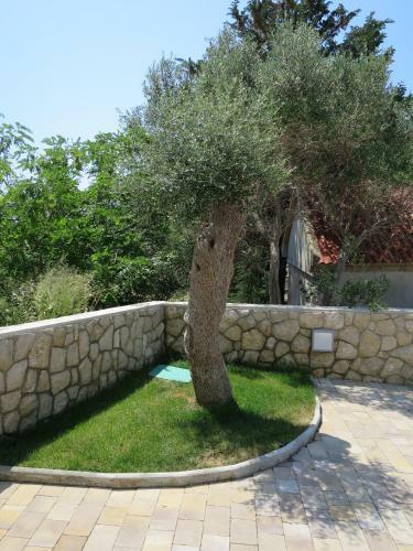 Apartments Lucija