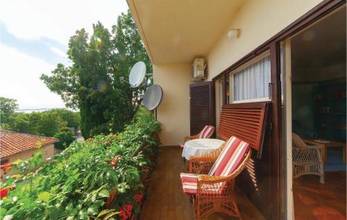 Apartment Nazorovo Setaliste II