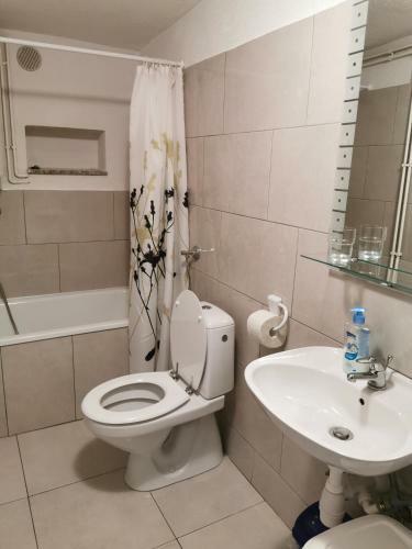 Apartment Nono Anton
