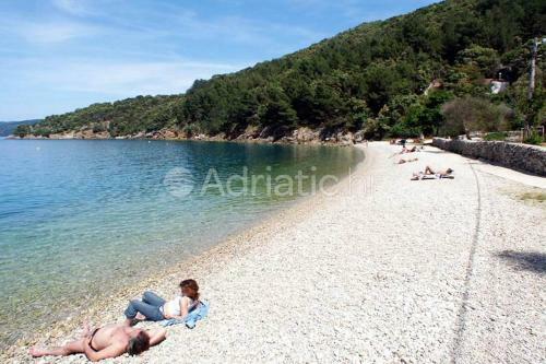 Apartments Sea View Brnic