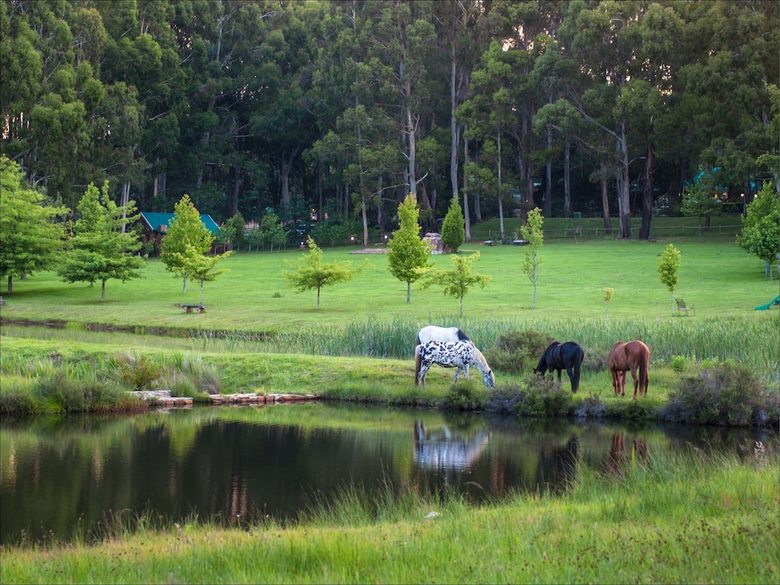 Posada Dunkeld Country Estate